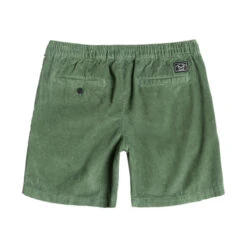 DARK SEAS GO TO CORD SHORT (EX) -Boldman Clothing Shop 315000025 GRN 2 47450.1690121605